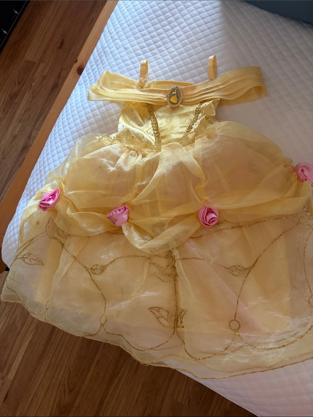 Disney Store Princess Belle Dress with Pink Roses 3T